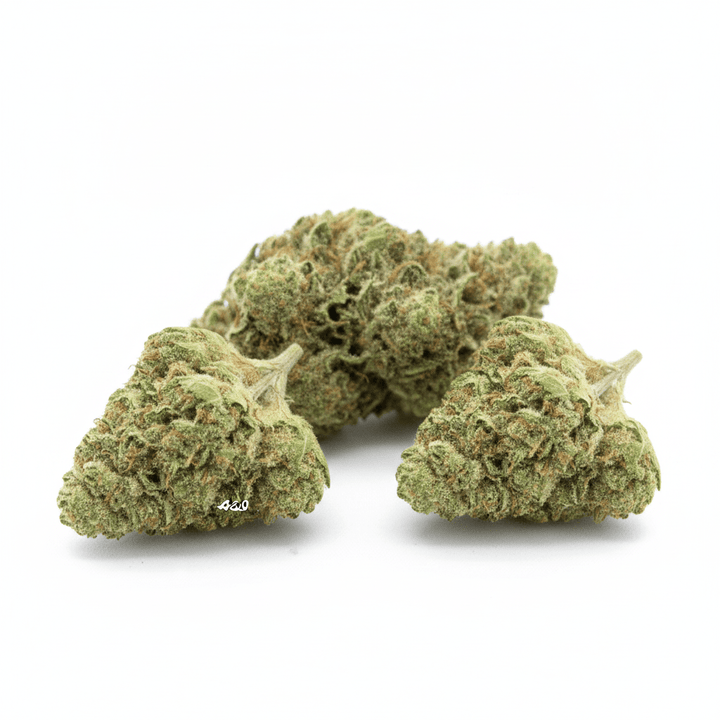 Découverte Fleurs Premium - 420 Green road
