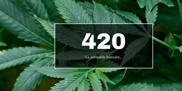 420 la véritable histoire : origine & signification - 420 Green road