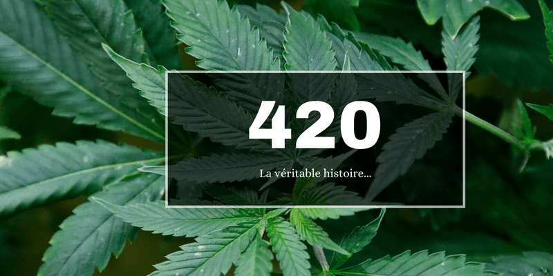 420 la véritable histoire : origine & signification - 420 Green road