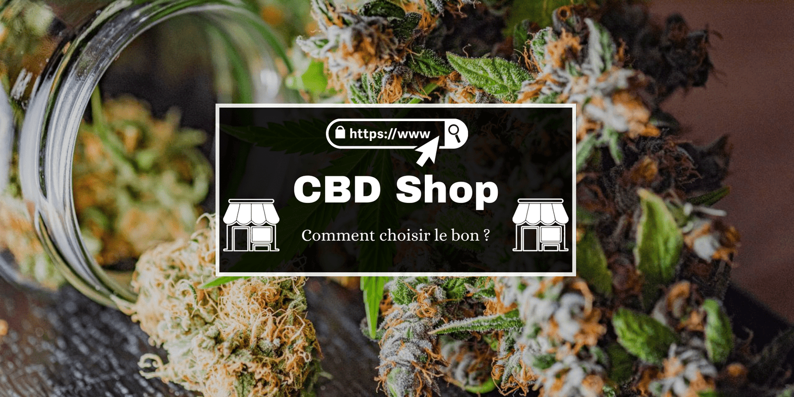 CBD Shop : Comment choisir le bon ? - 420 Green road
