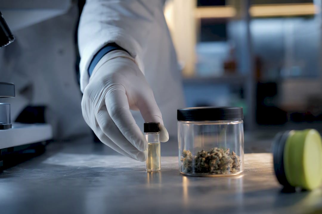 CBD suisse en France : légal ou risqué selon le taux de THC - 420 Green road
