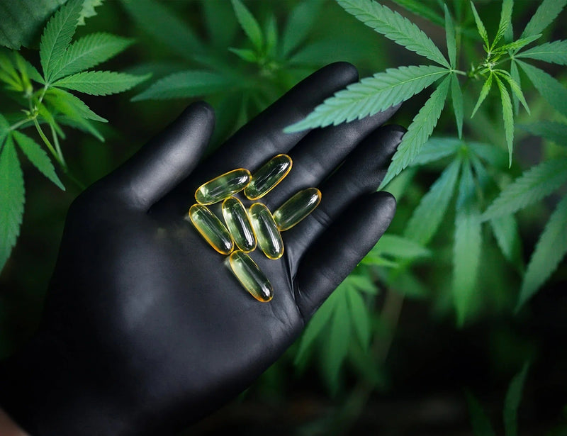 CSA-14: The complete guide