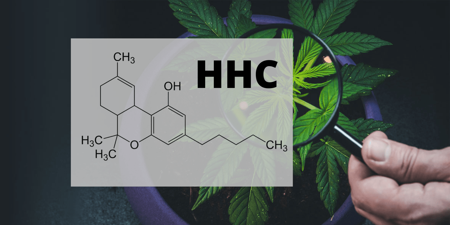 Le HHC est-il légal en France ? - 420 Green road