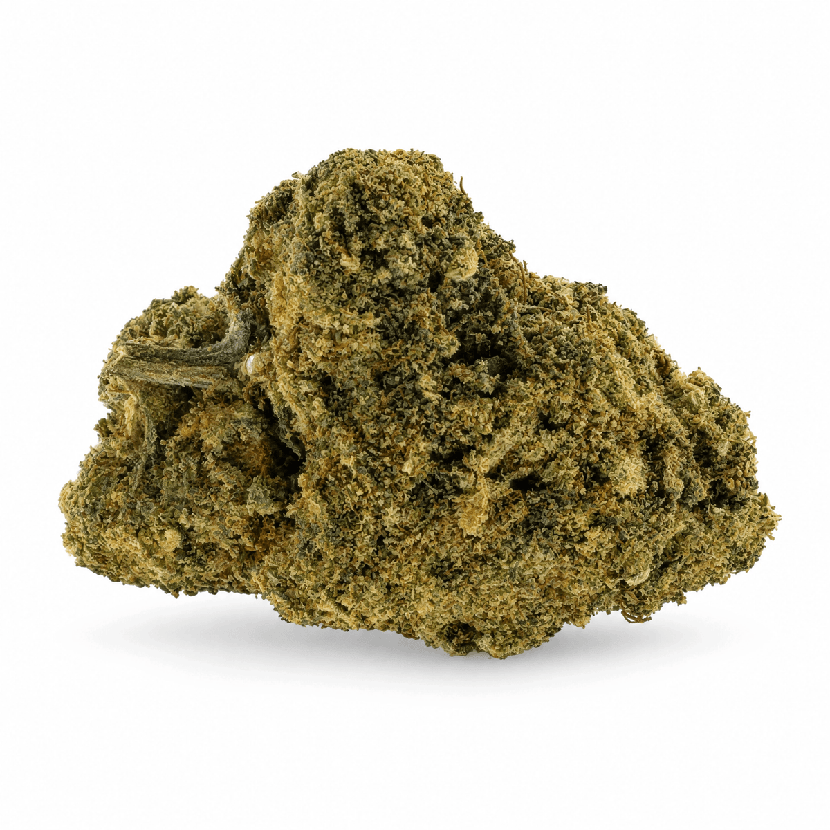 CSA - 420 Green road