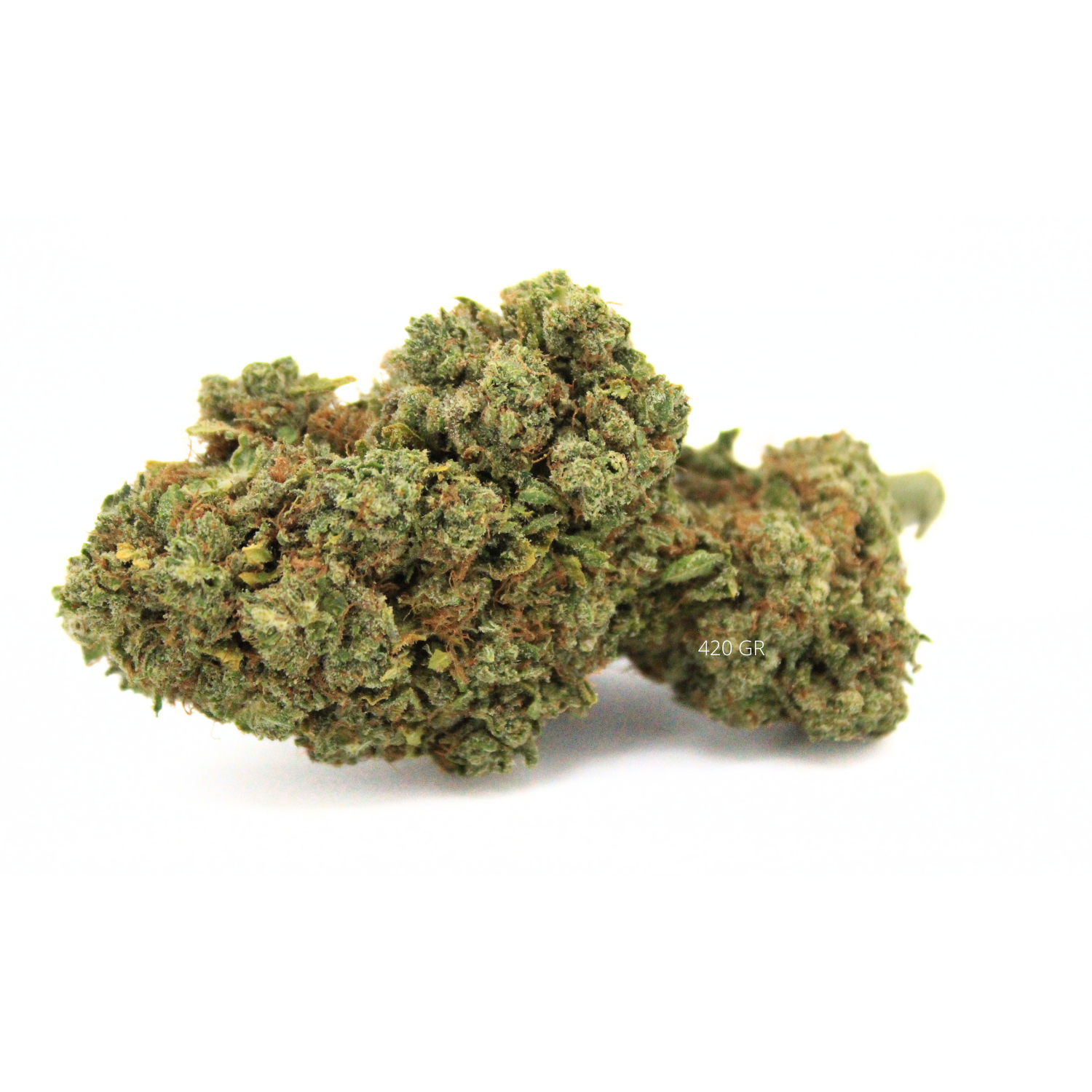 Acapulco Gold - Fleur CBD à 9.7% - Tête compacte et dense - 420 Green Road