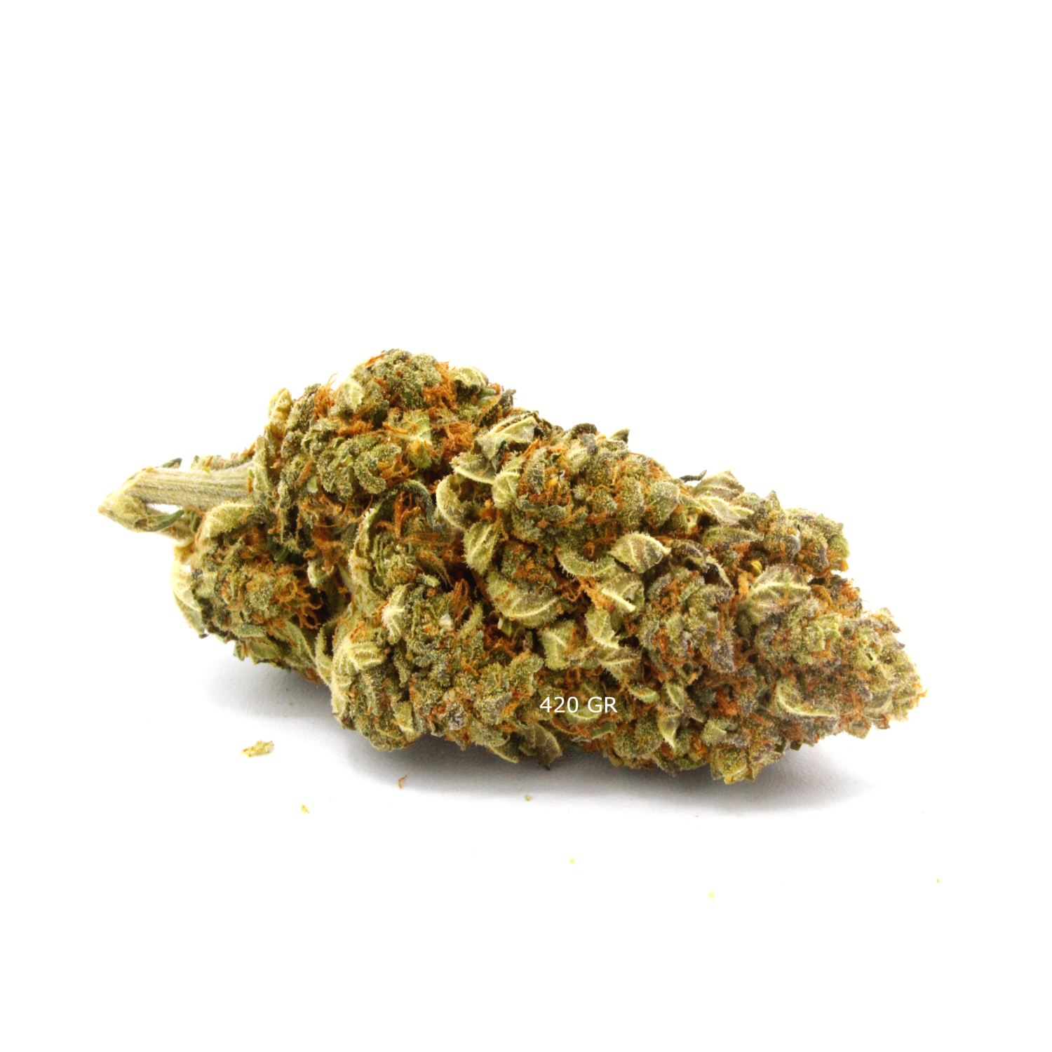 Big Bang - Fleur CBD à 23% - Vue sur des têtes denses et résineuses - 420 Green Road