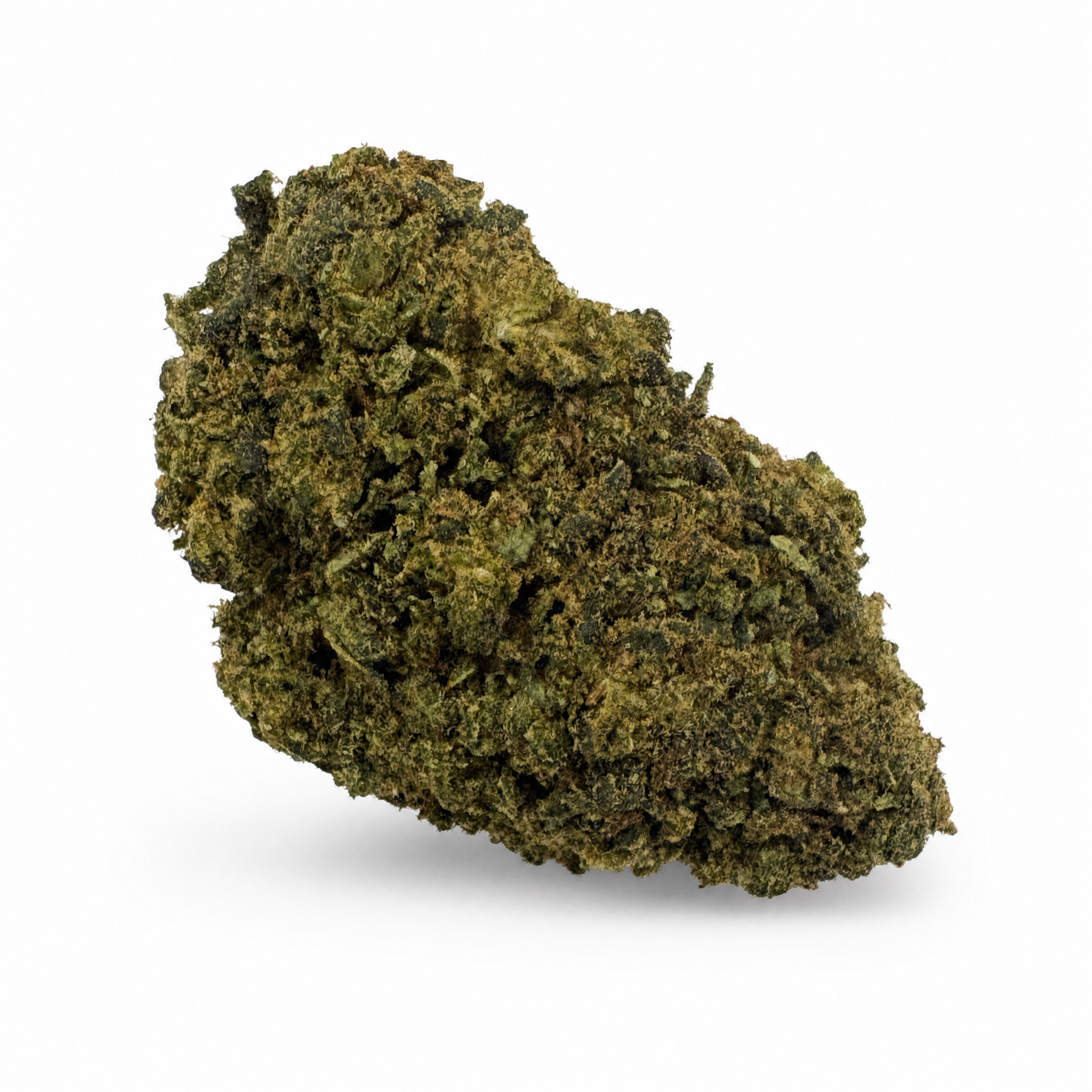 Orange Crush | Greenhouse | 10% CSA