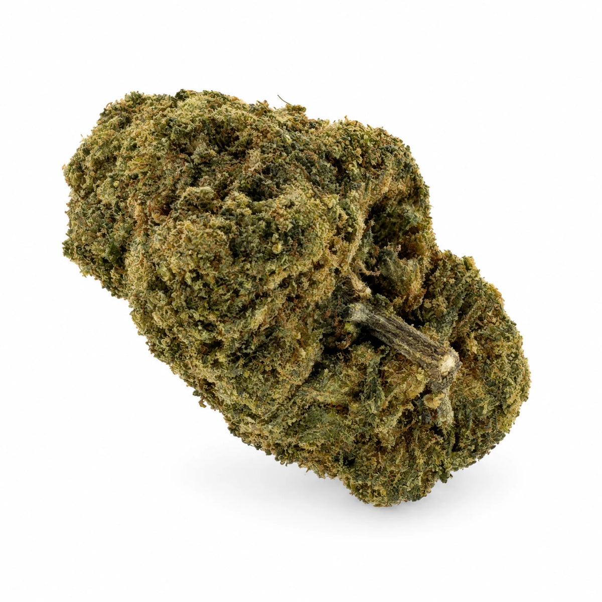 Miss Purple | indoor | 15% CSA