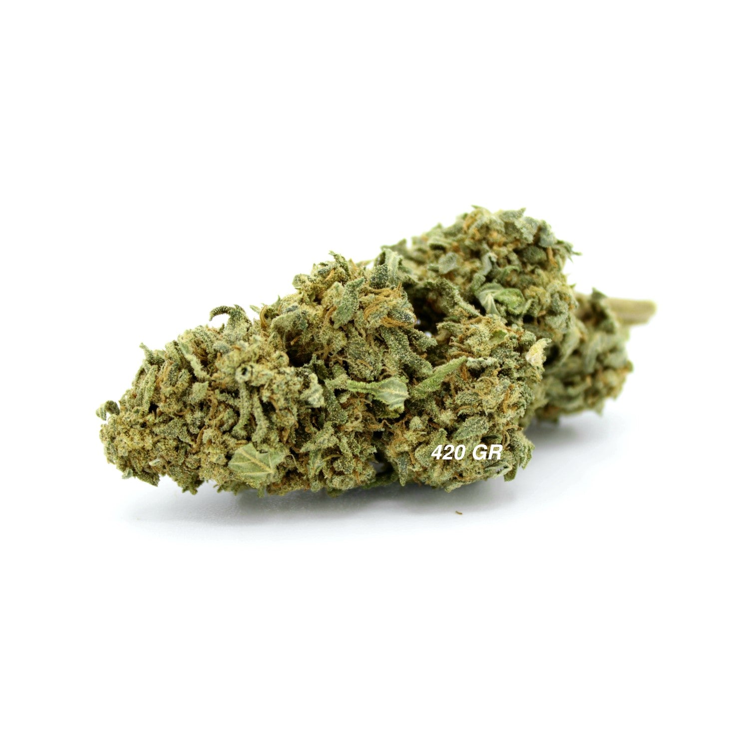 Fleur CBD Mango Haze à 17.2% - Gros plan sur une fleur dense et résineuse - 420 Green Road