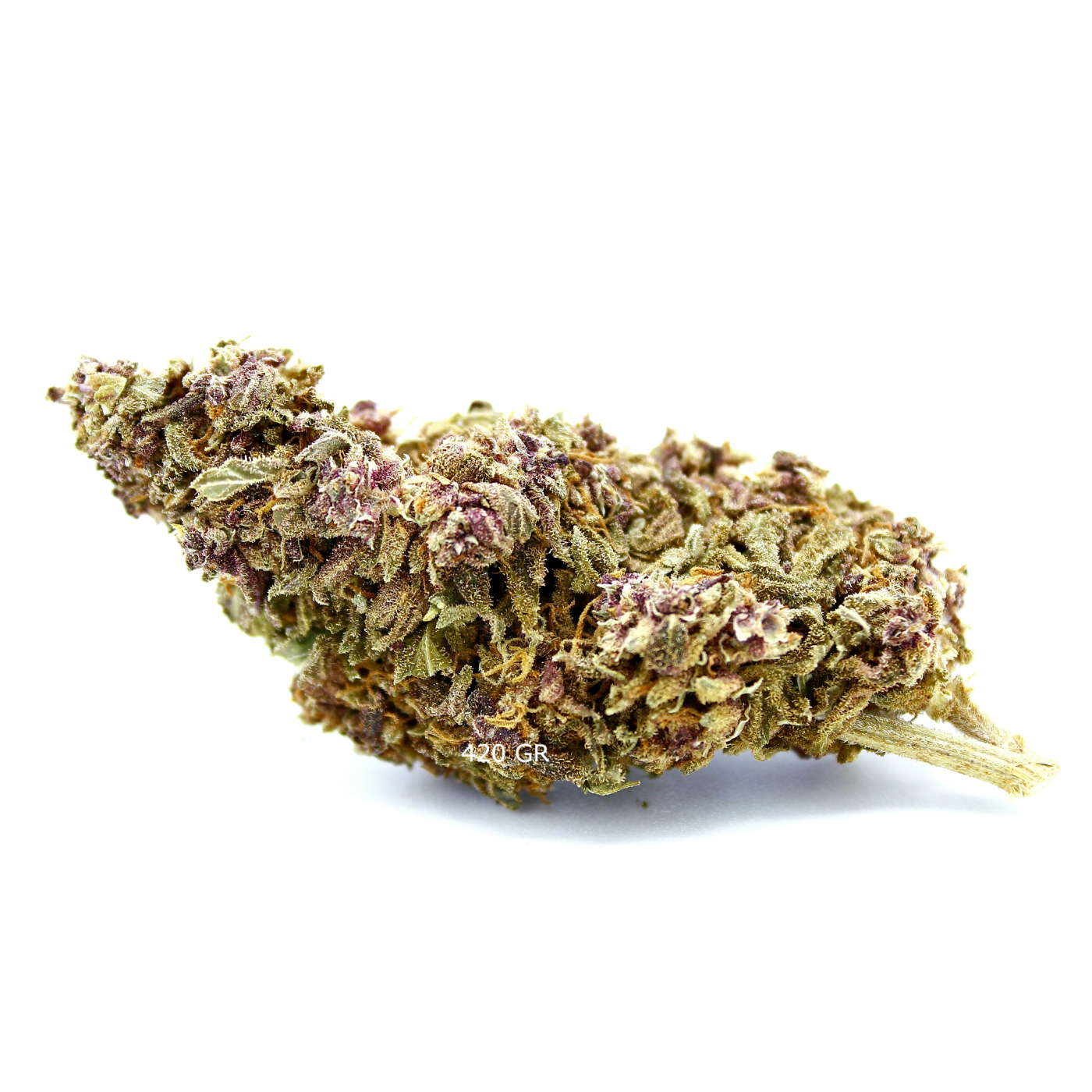 Purple Haze - Fleur CBD à 16% - Têtes indoor denses et résineuses - 420 Green Road