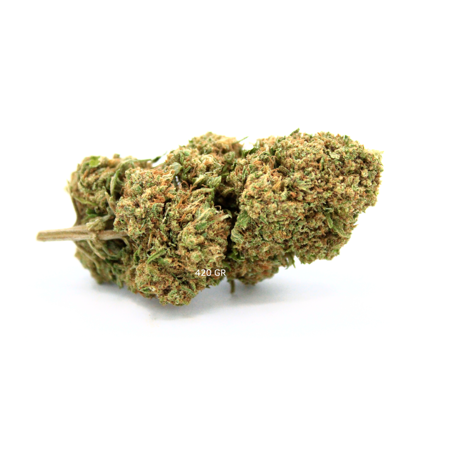 Tropicana Kush - Fleur CBD à 16% - Têtes denses et colorées - 420 Green Road