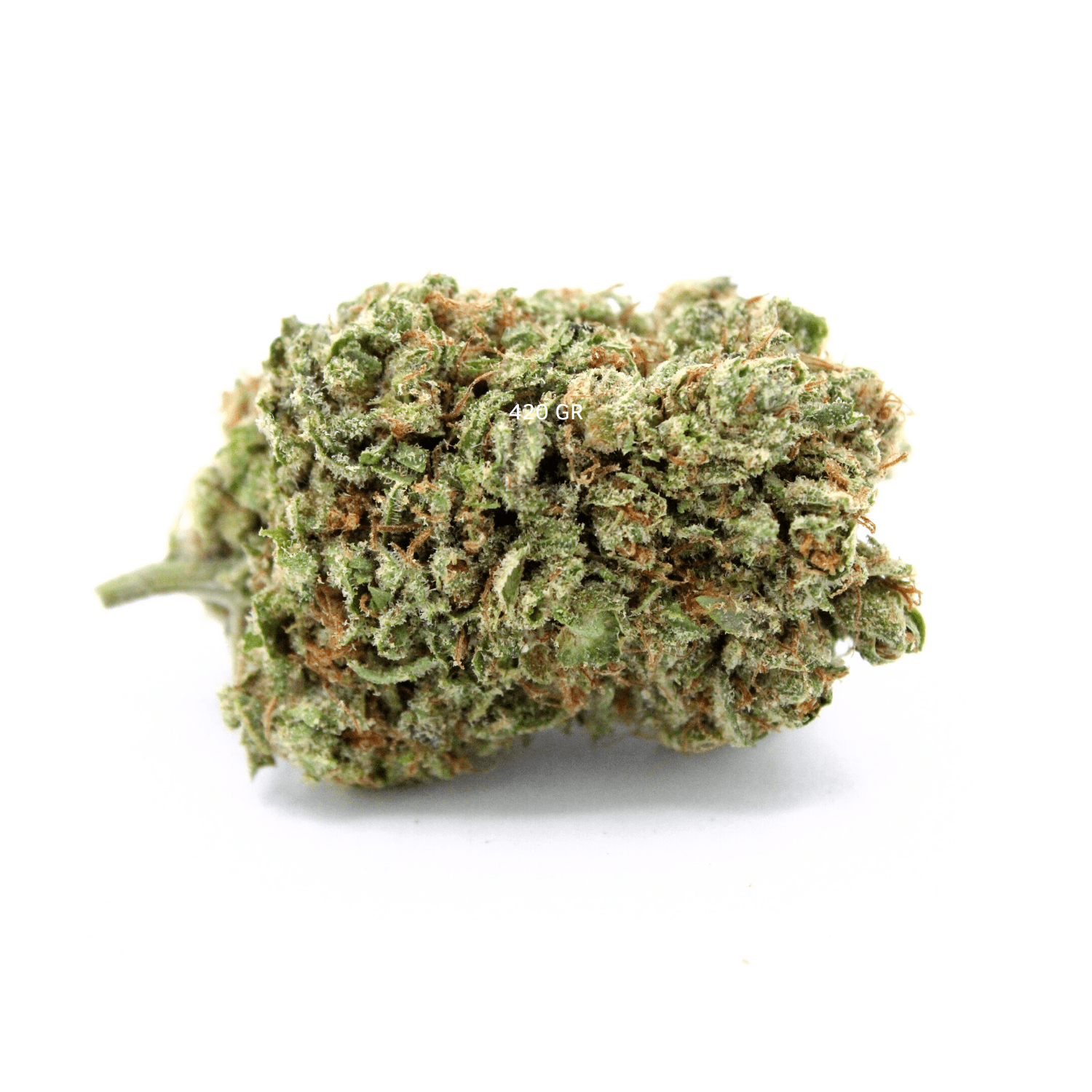 Alien OG | FLeur de CBD Hydroponie | 20% CSA - 420 Green road