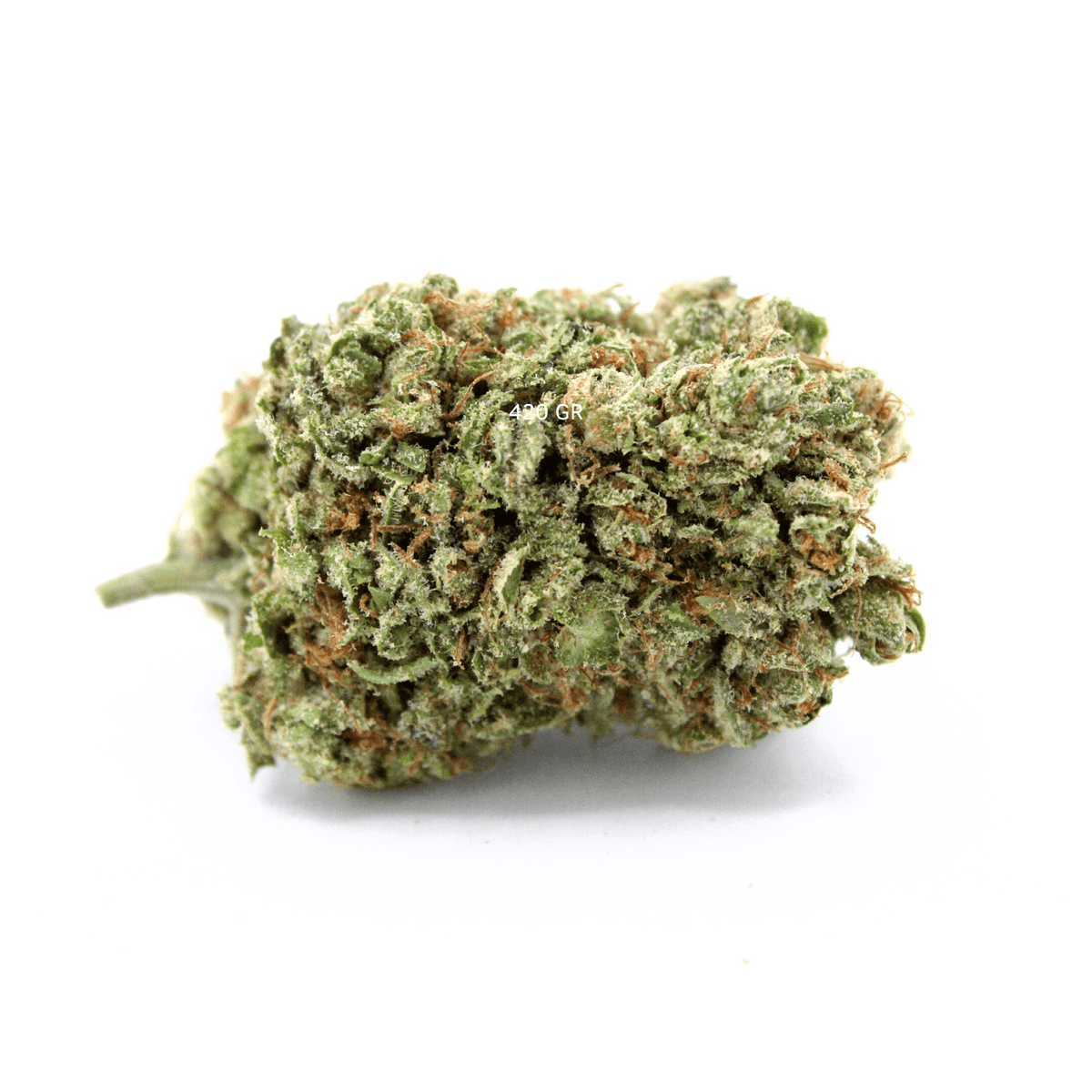 Hydro + Hash (Alien OG, Jungle Kush, La Mousse)