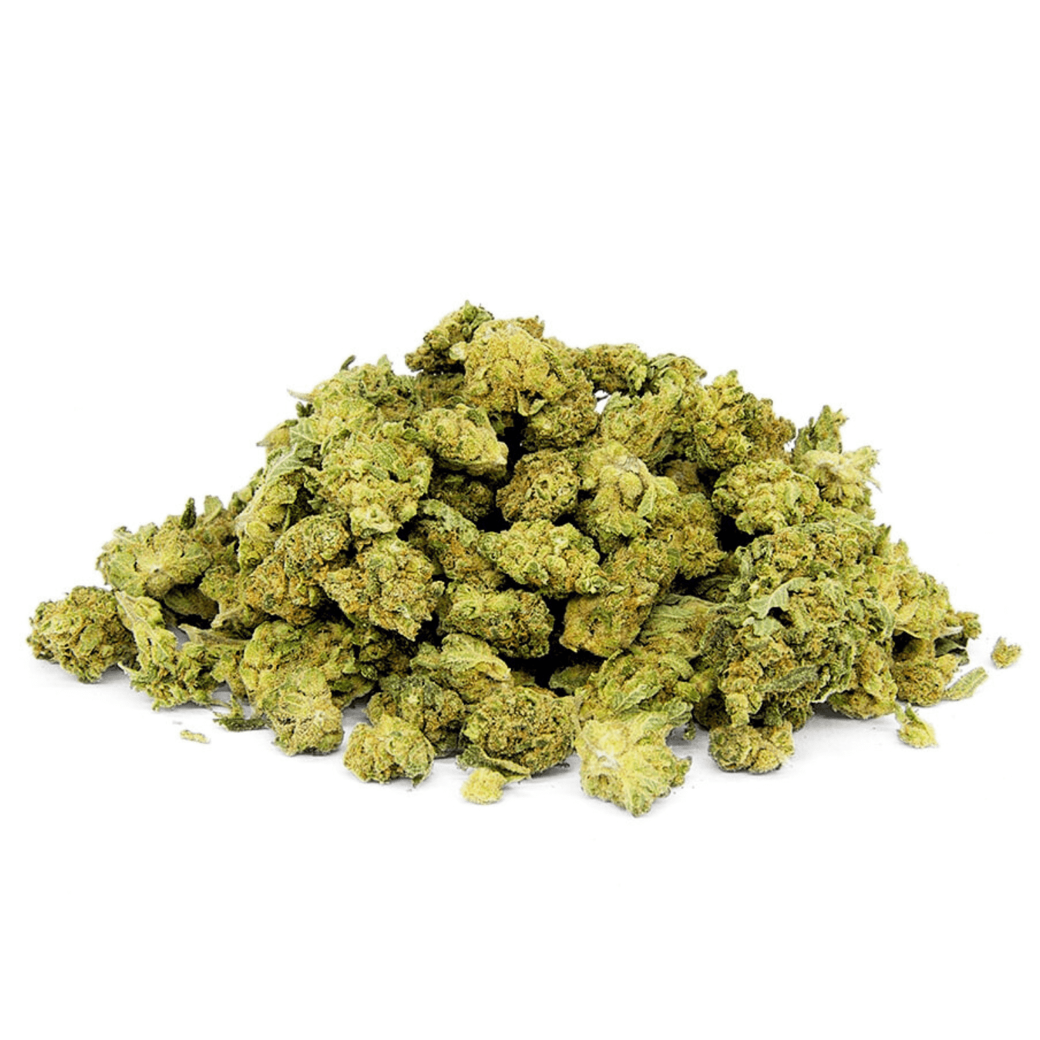 Baby Tonic Bud | Indoor | 15% MCP - N - 420 Green road