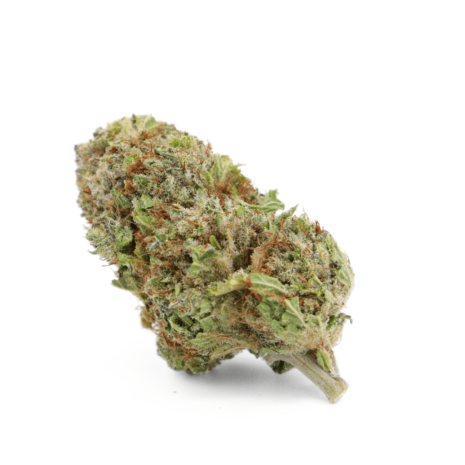 Jungle Kush | Hydro | 20% CSA - 420 Green road