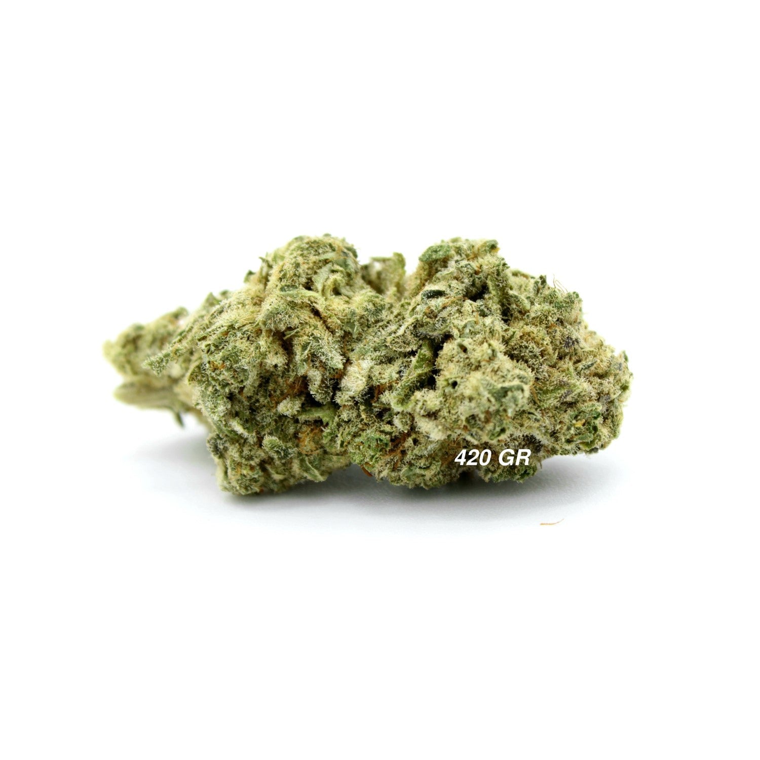 OG Kush CBN | Fleur CBD Hydroponie | 12% CBN - 6% CBD - 420 Green road