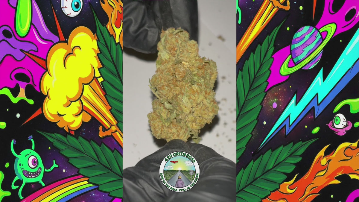 Charger la vidéo : Euphoria | Hydroponie | 11,3% CBD