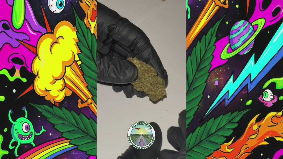 Charger la vidéo : OG Kush CBN | Fleur CBD Hydroponie | 12% CBN - 6% CBD