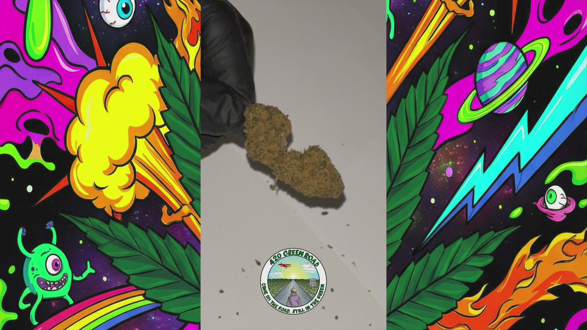 Charger la vidéo : Blueberry | Indoor | 8,9% CBD