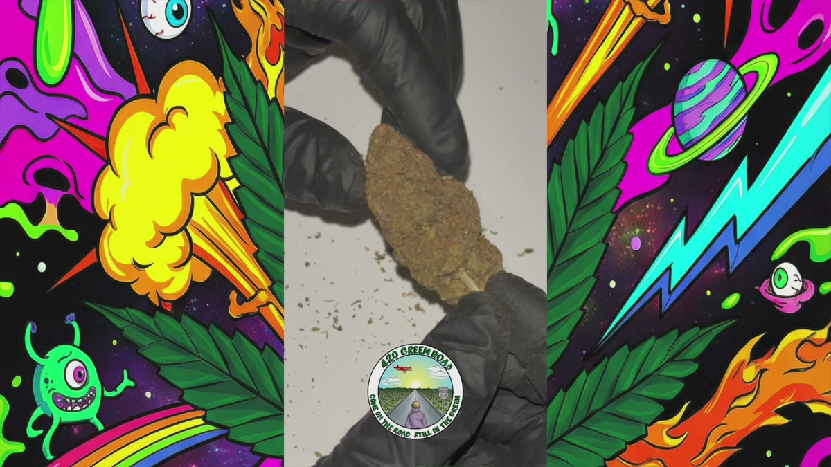 Charger la vidéo : Mango Haze | Fleur CBD Indoor | 17,2% CBD