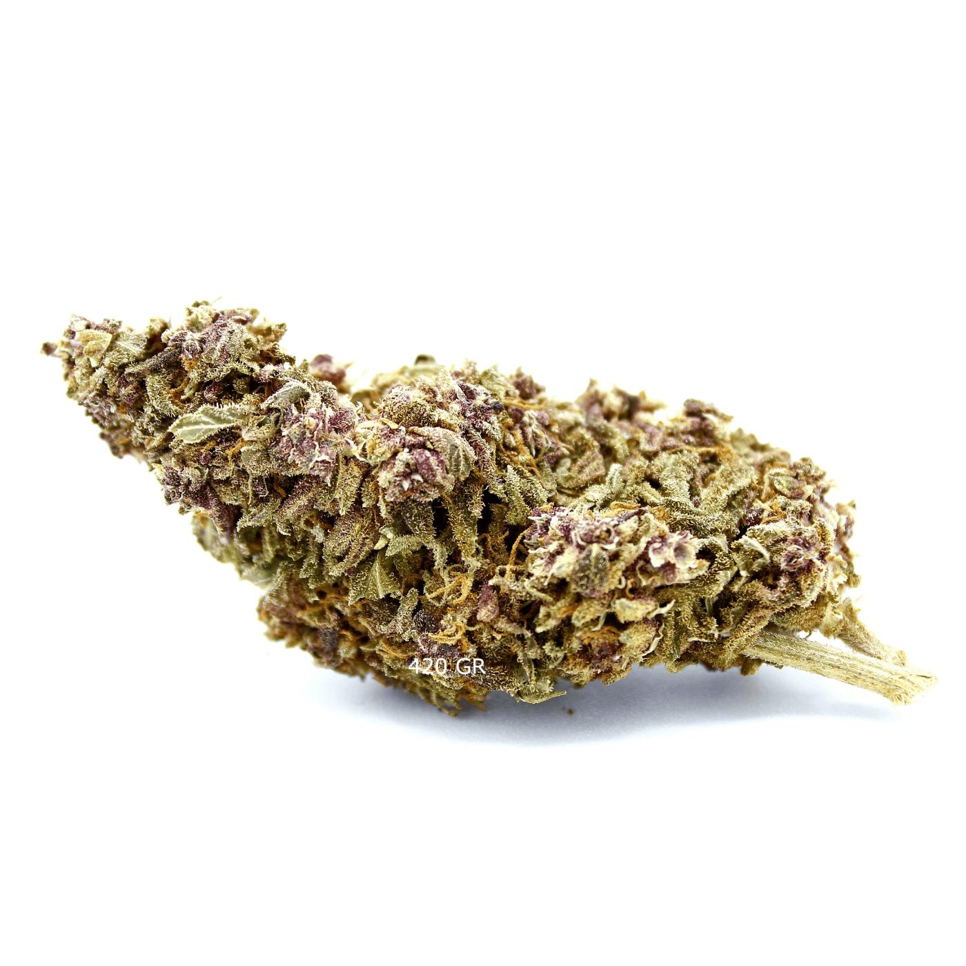Purple Haze | Fleur de CBD Indoor | 16% CBD - 420 Green road