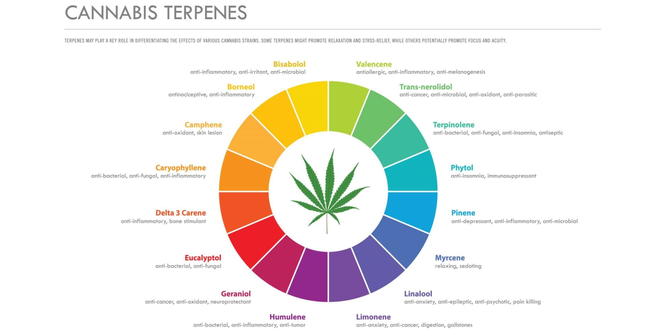 Terpènes cannabis