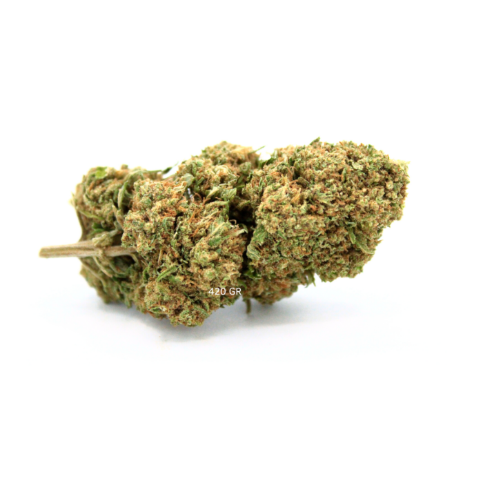 Tropicana Kush CBD