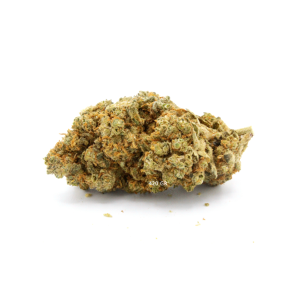 Orange Bud CBD