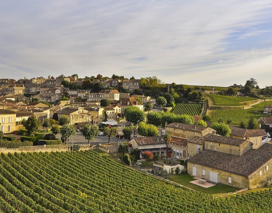 Destination_Vignoble_Saint_Emilion_01 Les vignerons du cannabidiol