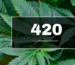 420 la véritable histoire : origine & signification