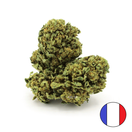 French Blueberry CBD