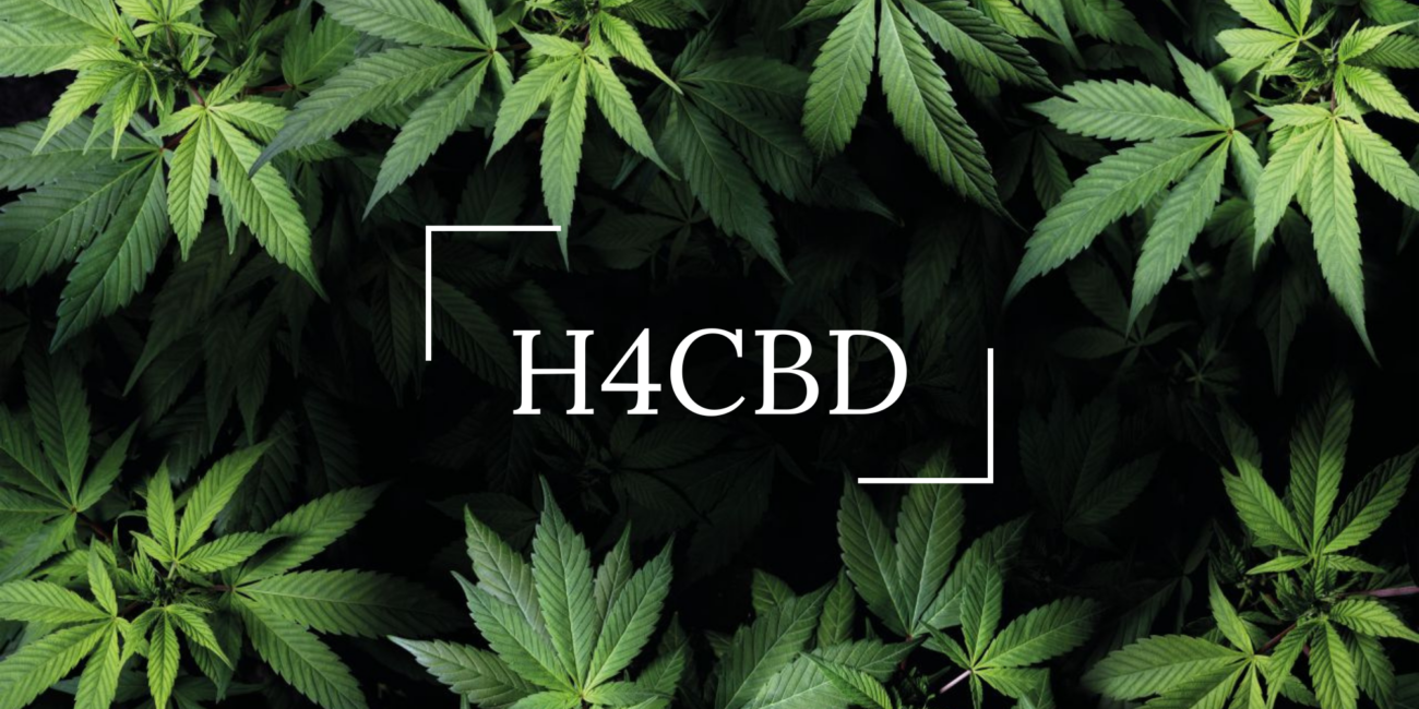 H4CBD : C'est quoi ?