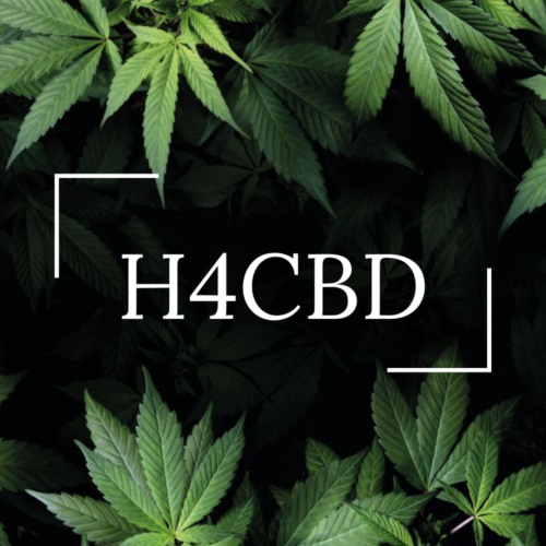 H4CBD: ¿Qué es?