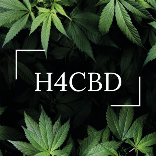 H4CBD: Che cos&#039;è?