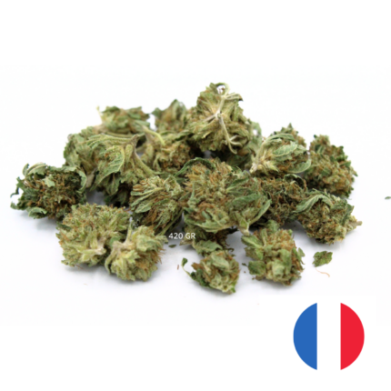 Mini Bud CBD France