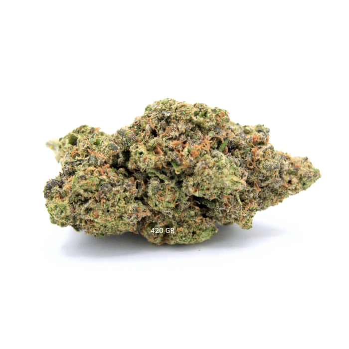 Veleno di Durban H4CBD