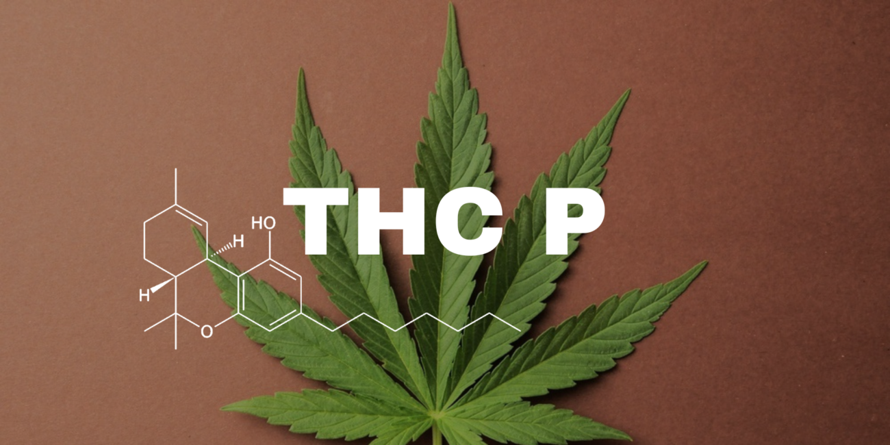 What is THCP?