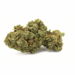 Acapulco Gold – Fleur CSA-14 25 % – 420 Green Road