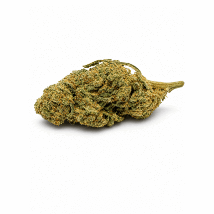 Man OG – Fleur CSA-14 5 % – 420 Green Road